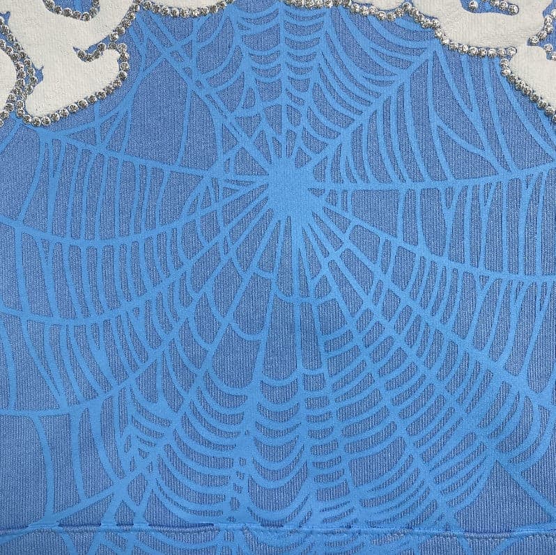 Classic Web Sky Blue Hoodie
